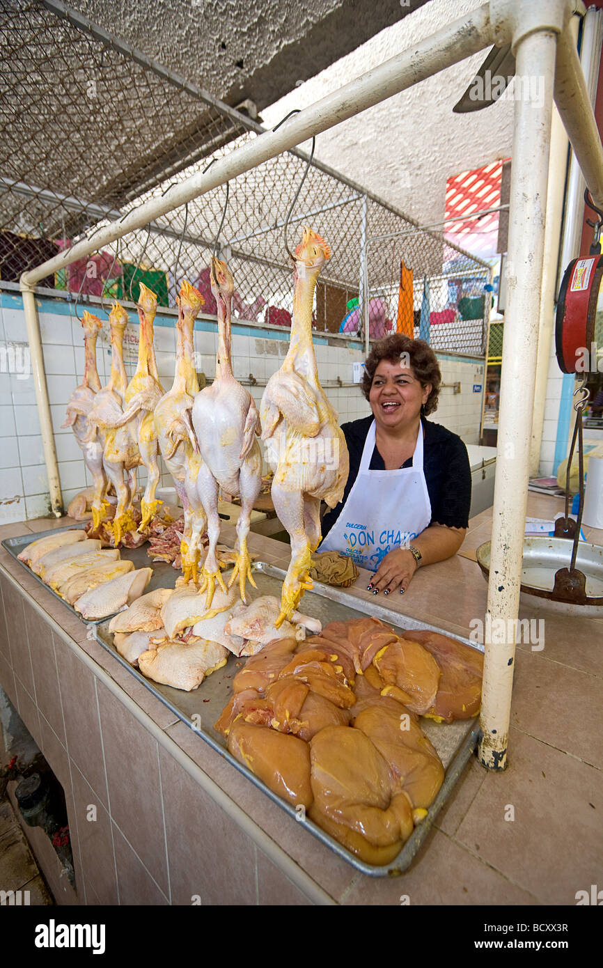Frau zeigt stolz ihre Küken zum Verkauf an Juan Carrasco Markt im Herzen von Mazatlan Mexiko. Stockfoto