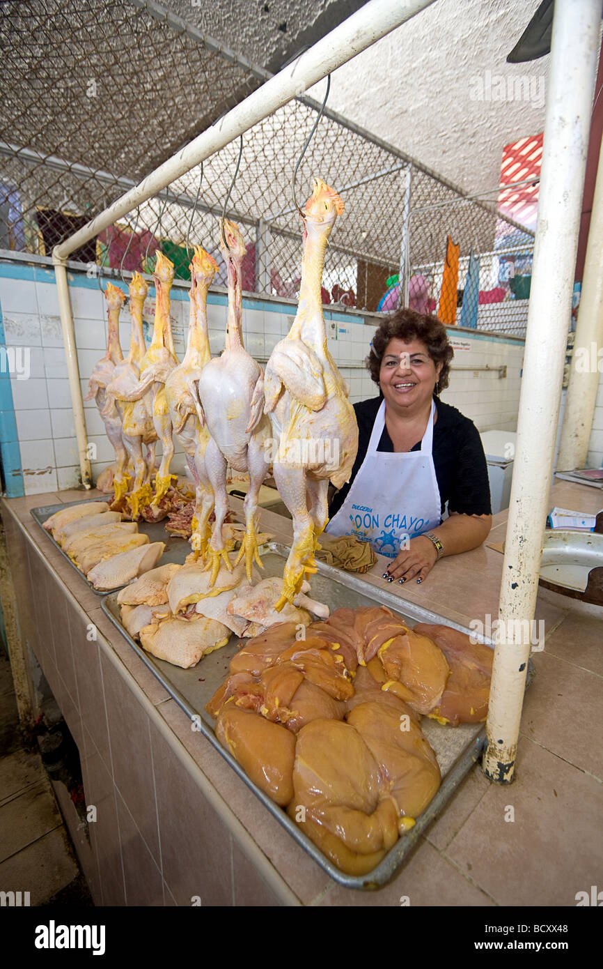 Frau zeigt stolz ihre Küken zum Verkauf an Juan Carrasco Markt im Herzen von Mazatlan Mexiko. Stockfoto