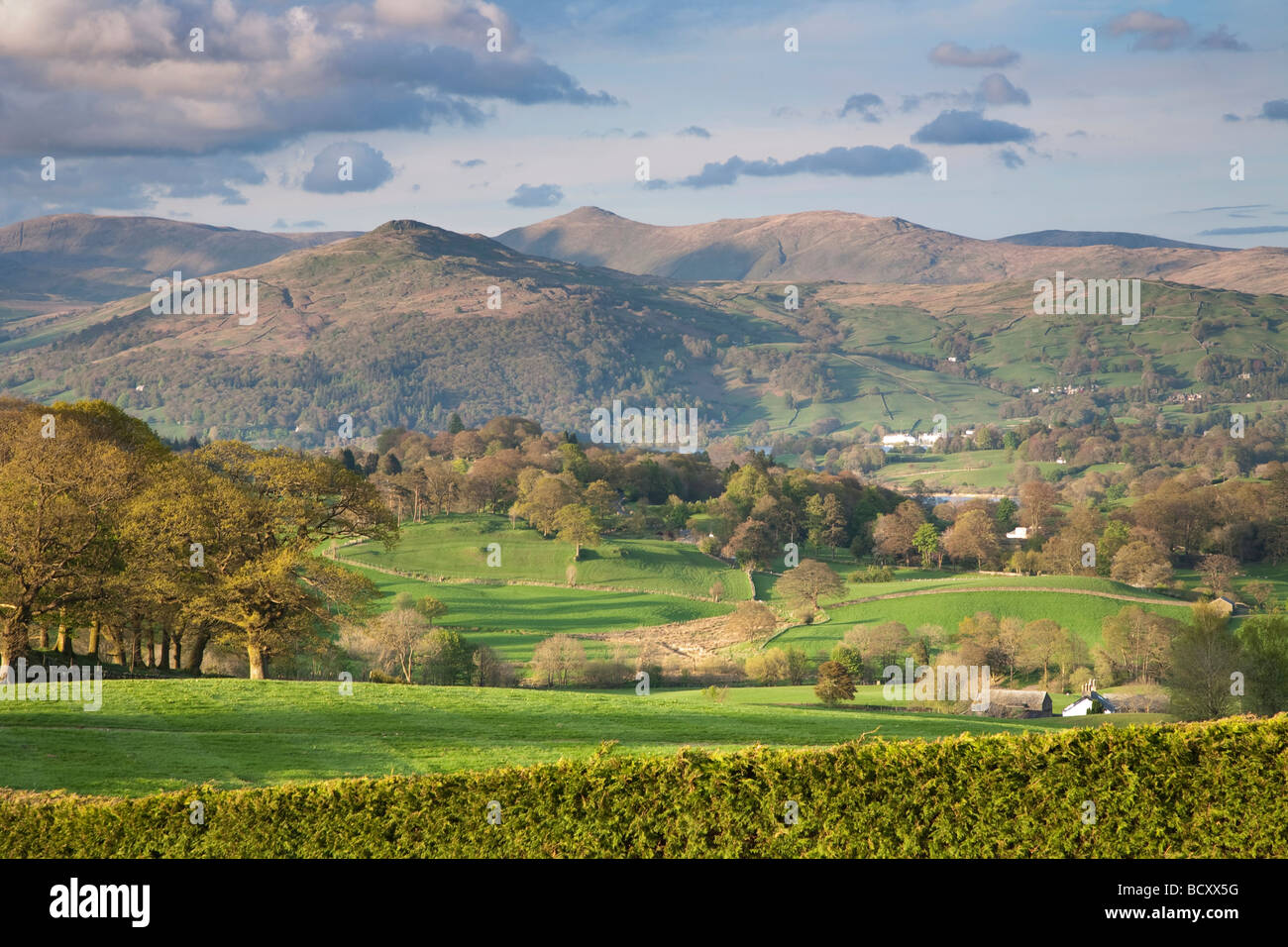 Blick Richtung Windermere und den östlichen Hügeln des Lake District, in der Nähe von Hawkshead Stockfoto