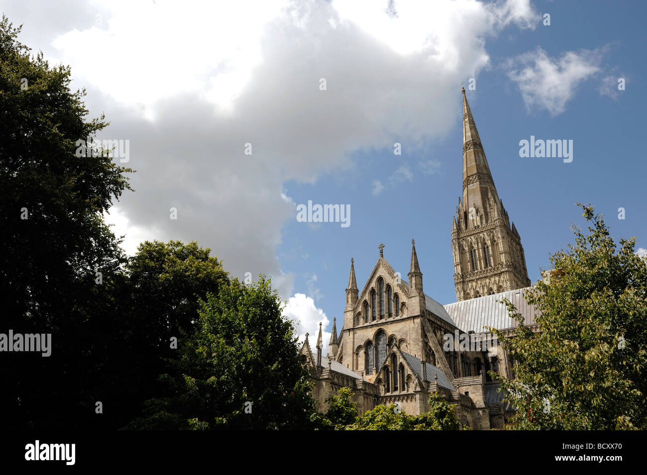 Salisbury Kathedrale Wiltshire Stockfoto