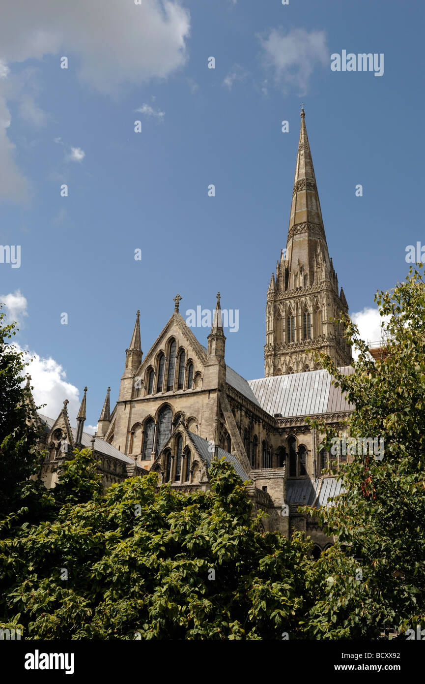 Salisbury Kathedrale Wiltshire Stockfoto