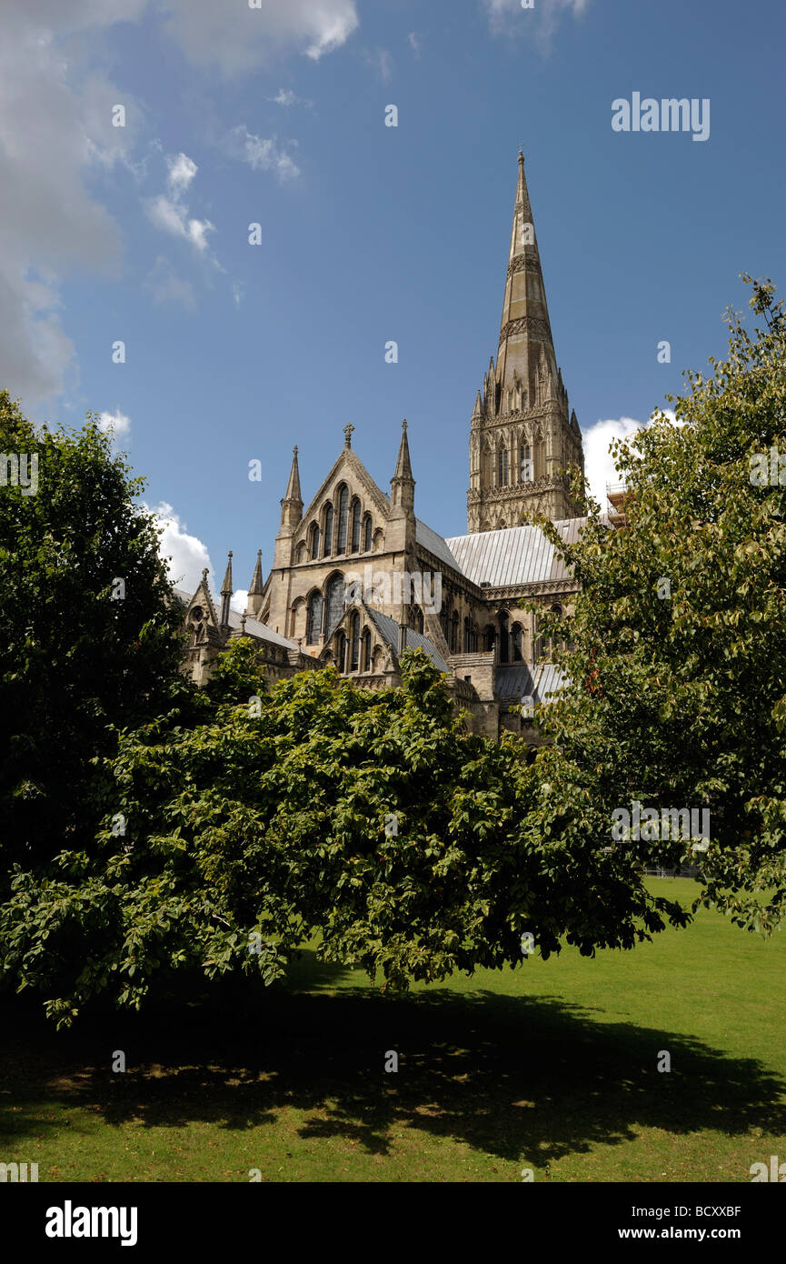 Salisbury Kathedrale Wiltshire Stockfoto