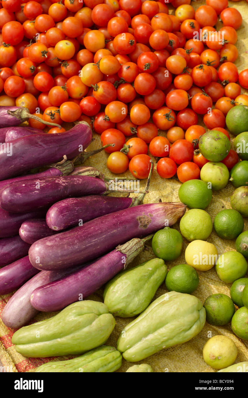 Gemüse & Früchte für den Verkauf auf dem Markt in Luang Prabang, Laos Stockfoto