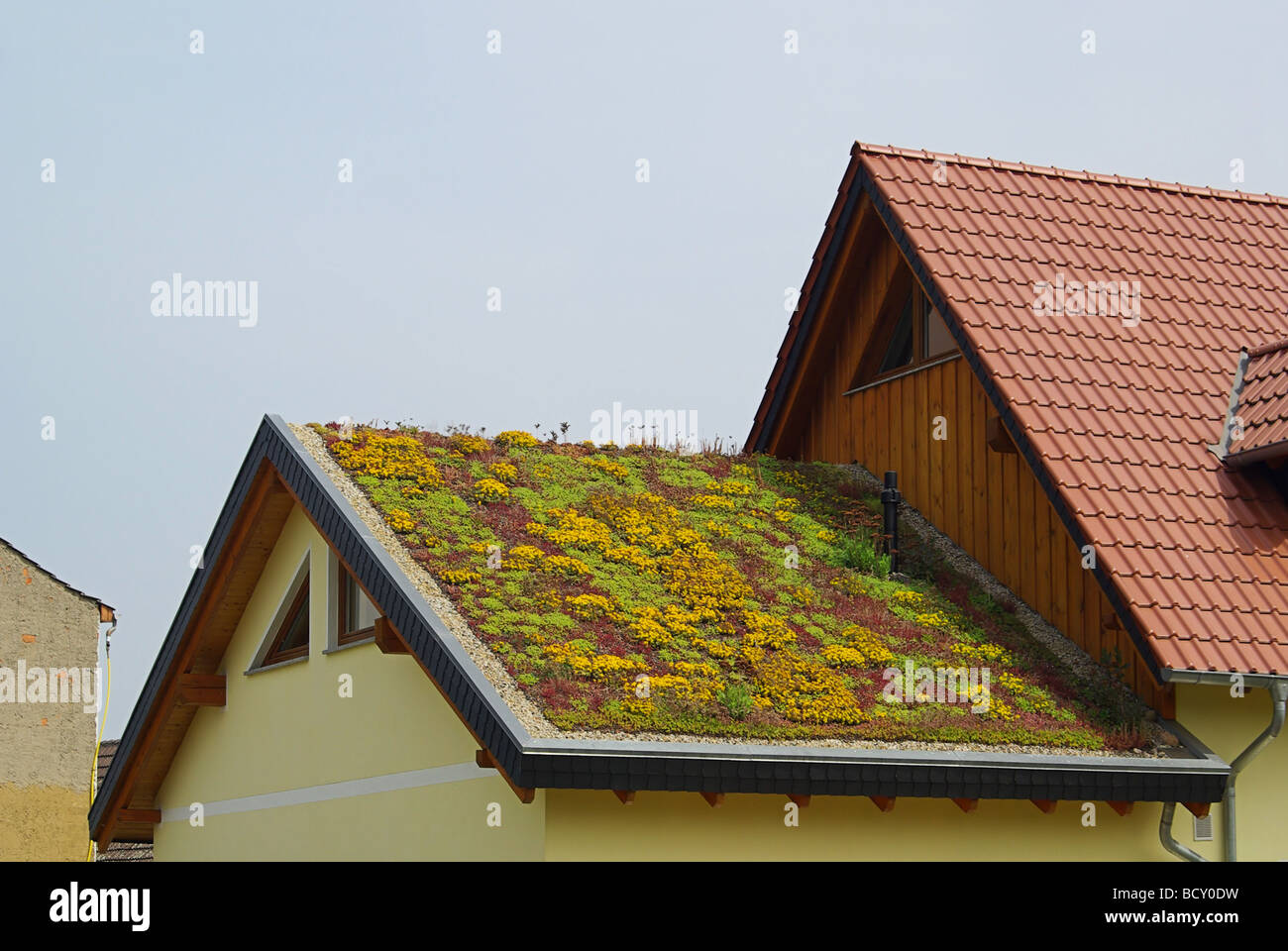 Gründach grünen Dach 01 Stockfoto