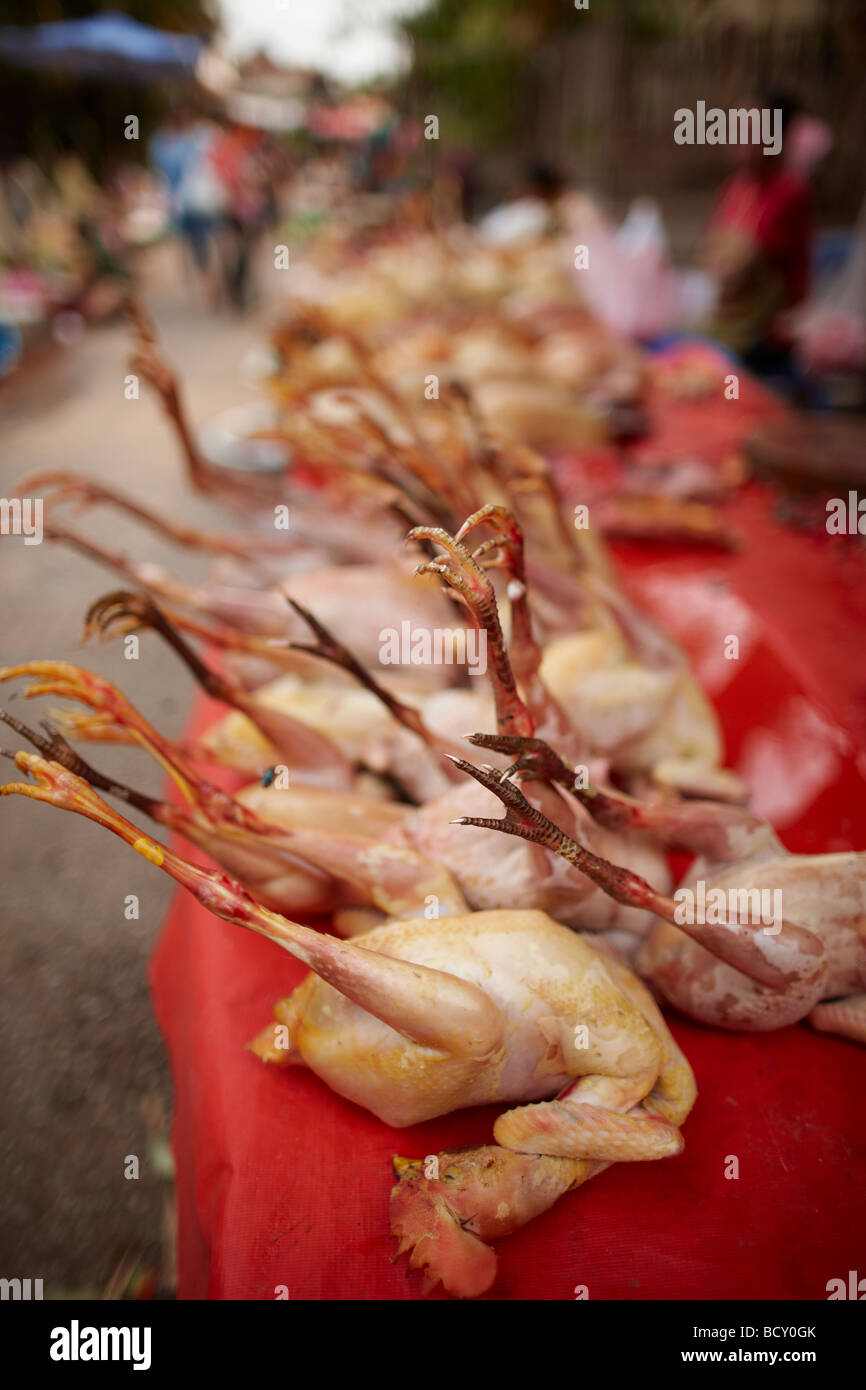 Hühner zum Verkauf auf dem Markt in Luang Prabang, Laos Stockfoto