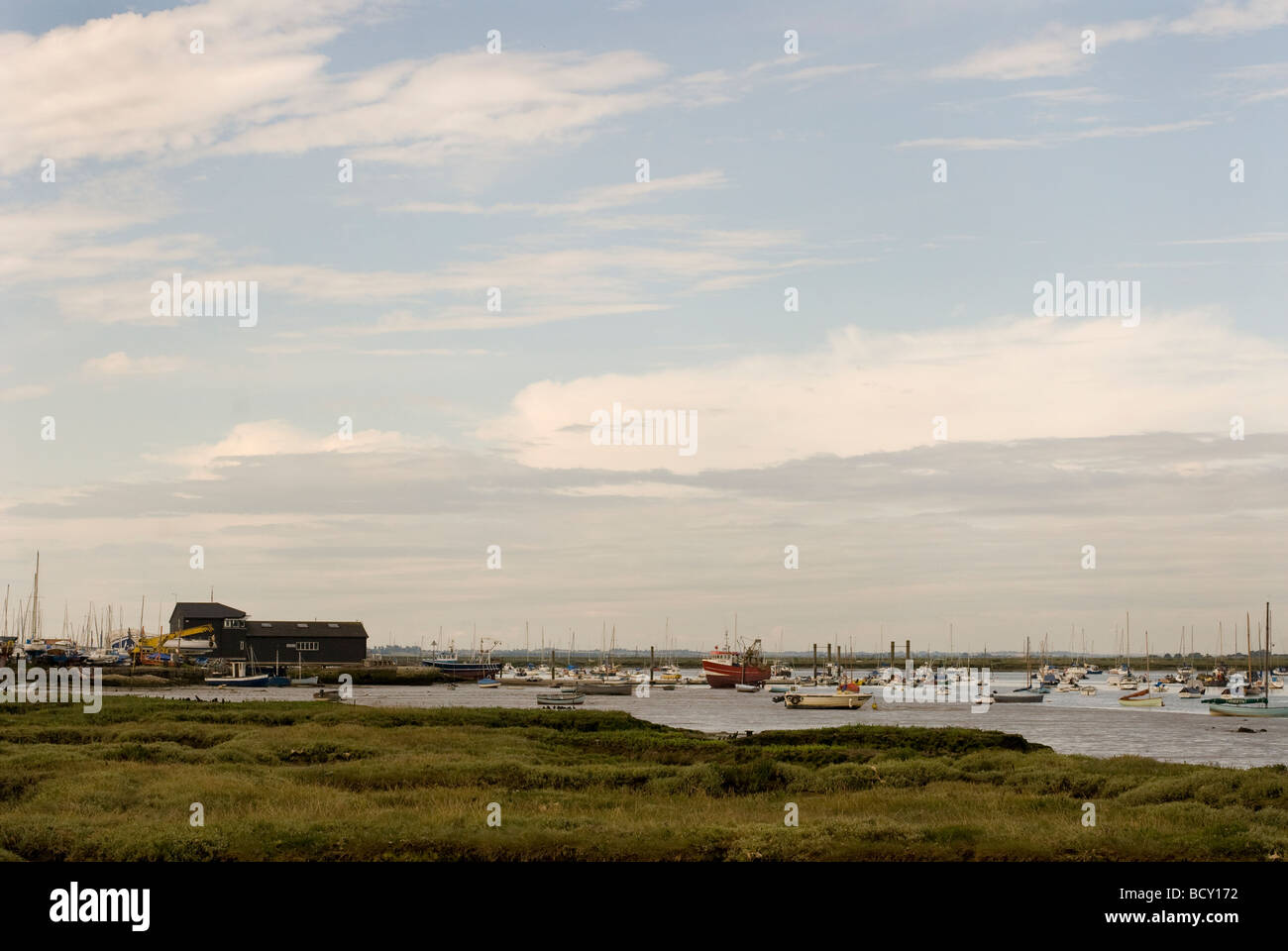 Mersea Island, Essex Stockfoto