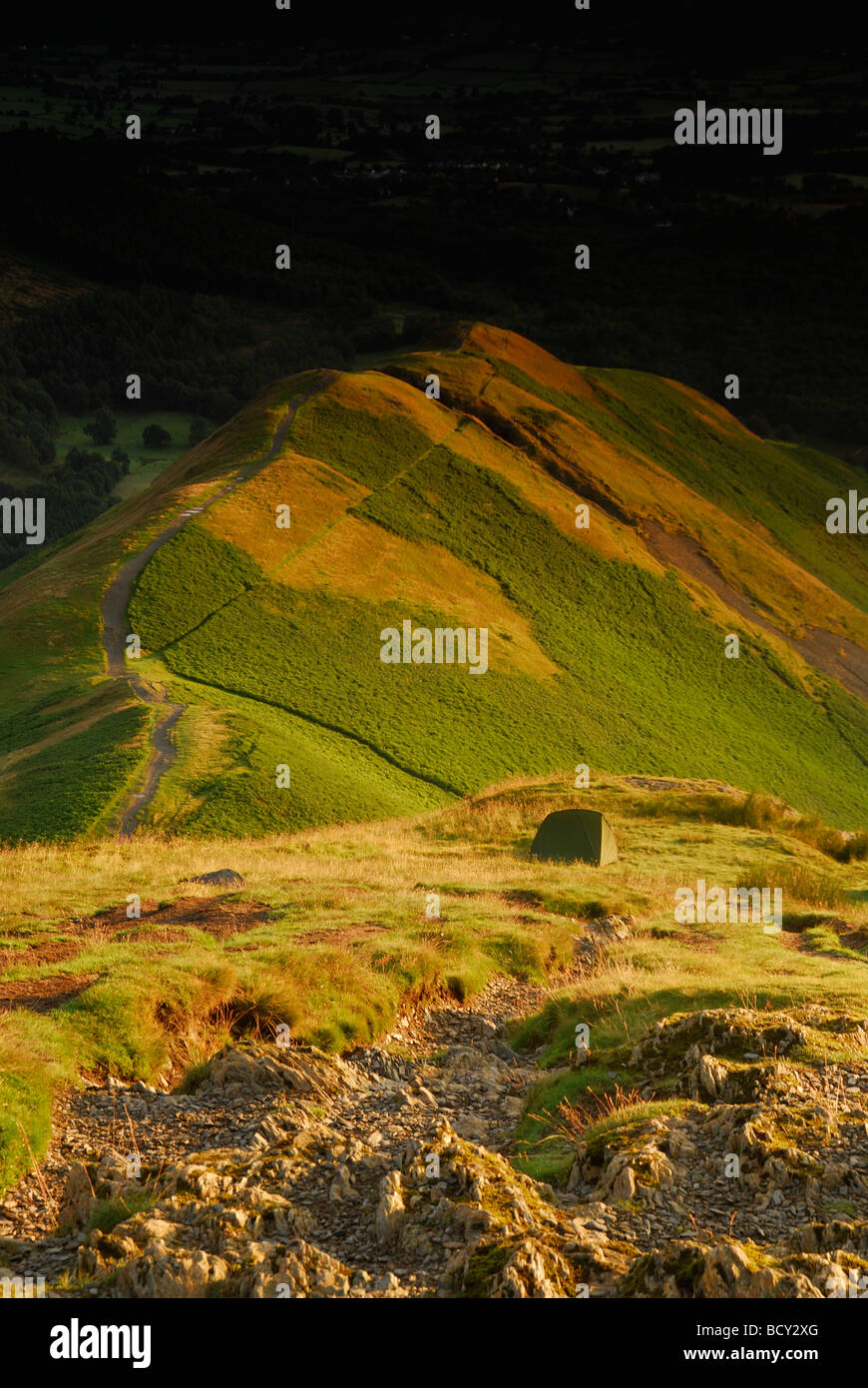 Katze-Glocken und Skiddaw im Morgengrauen im englischen Lake District Stockfoto