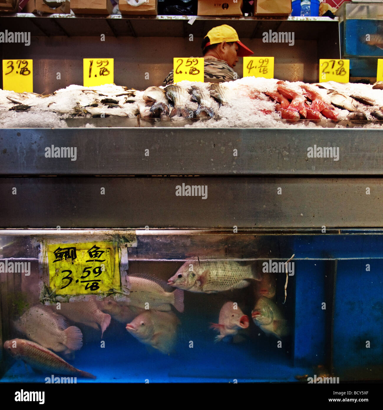 Chinatown in New York. Fischgeschäft. Stockfoto