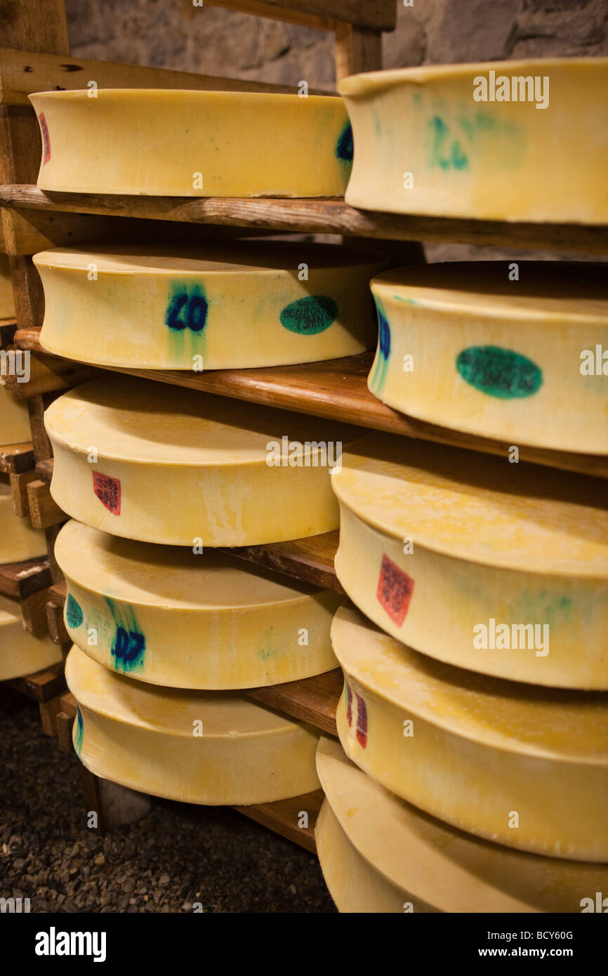 Produktion des französischen Käses "Beaufort", in den französischen Alpen Stockfoto