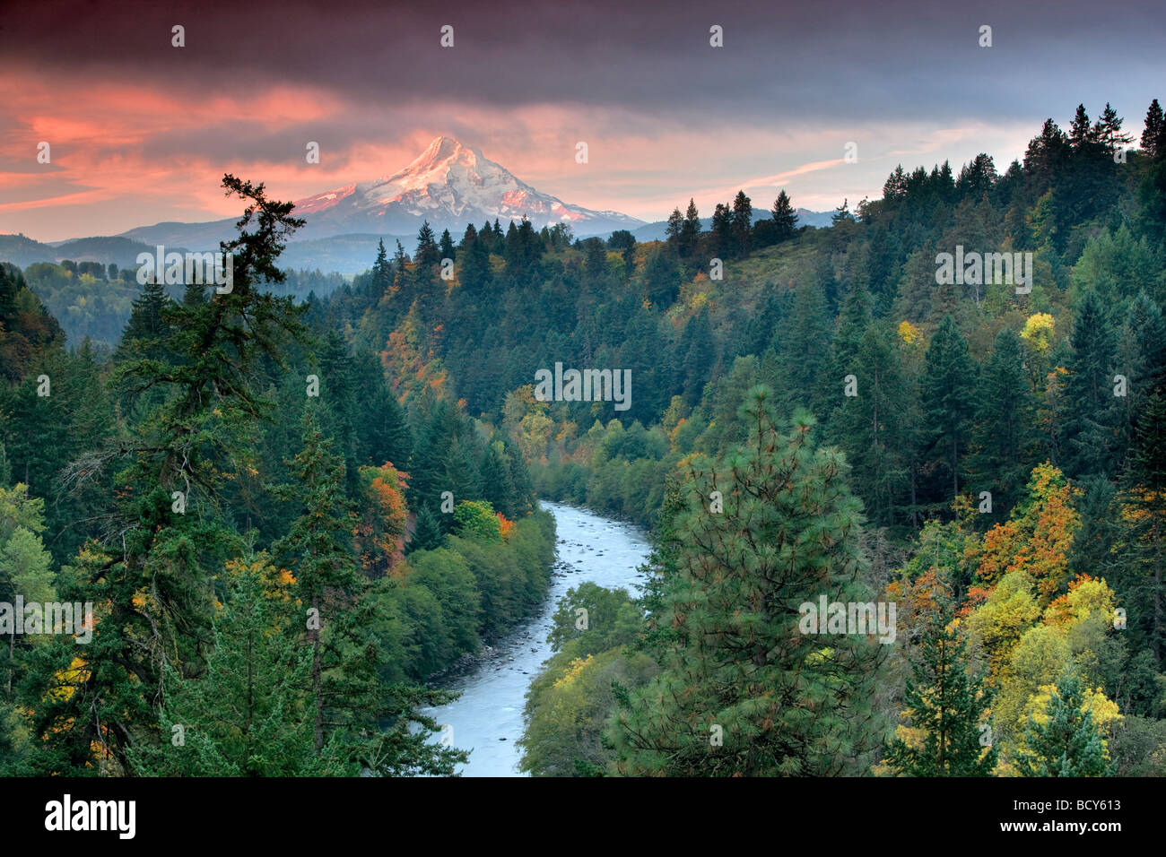 Blick auf Mt. Hood und Hood River mit Herbstfarben Oregon Stockfoto