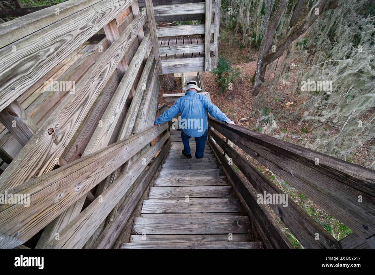 Paynes Prairie Preserve State Park, Micanopy, Florida Stockfoto