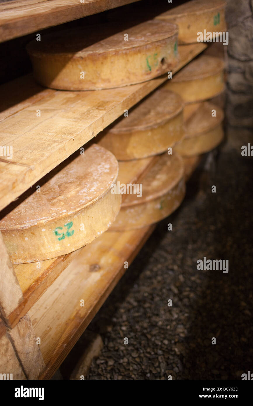 Produktion des französischen Käses "Beaufort", in den französischen Alpen Stockfoto