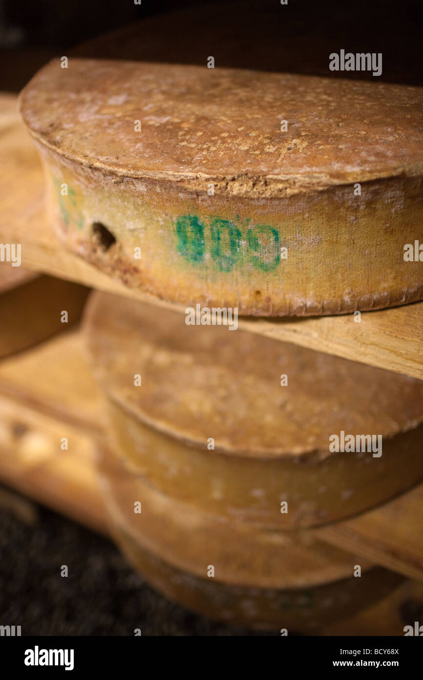 Produktion des französischen Käses "Beaufort", in den französischen Alpen Stockfoto