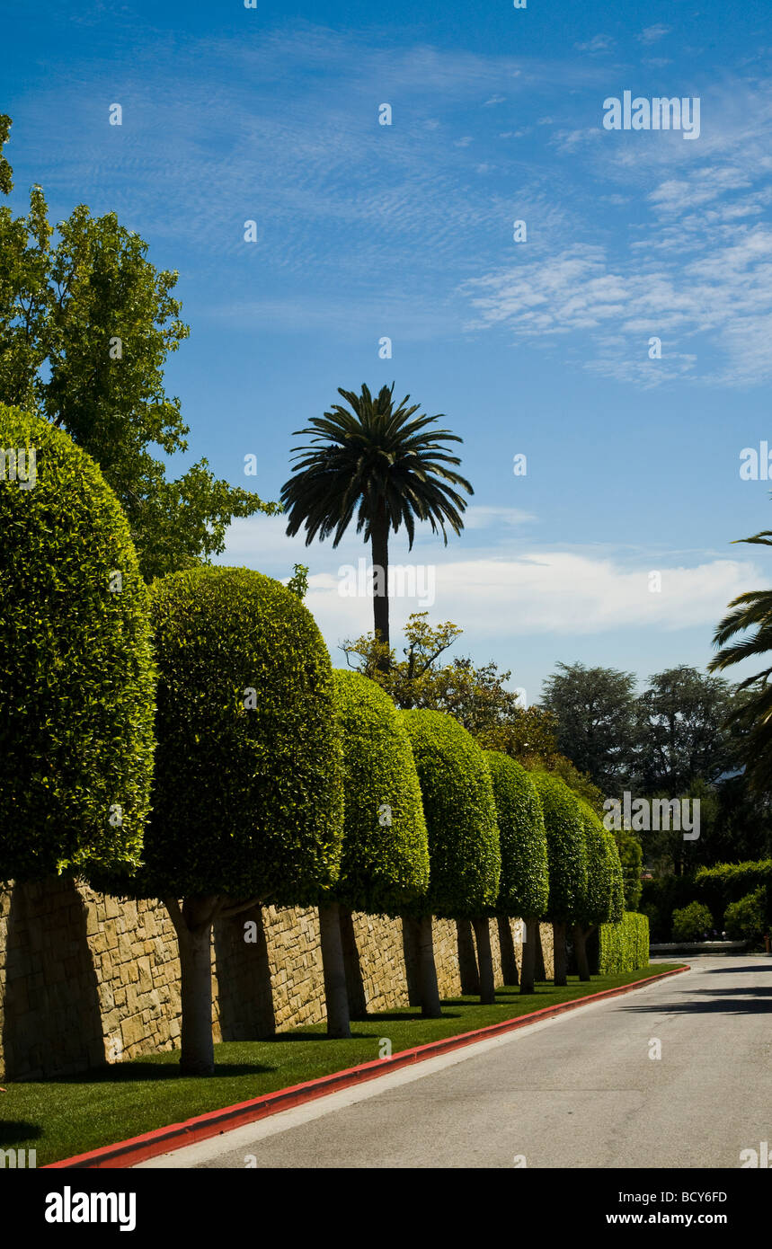 Landschaftsbau Bel Air in der Nähe von Beverly Hills Kalifornien Vereinigte Staaten von Amerika Stockfoto