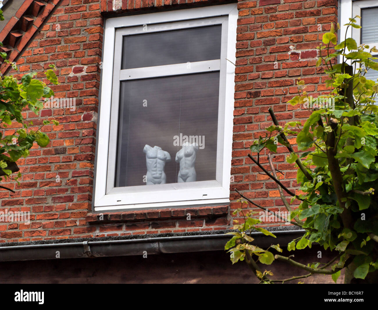 2 kopflosen Statuen der menschlichen Anatomie in einem Fenster in der Stadt Wyk auf der Nordinsel friesischen Fohr Deutschlands Stockfoto