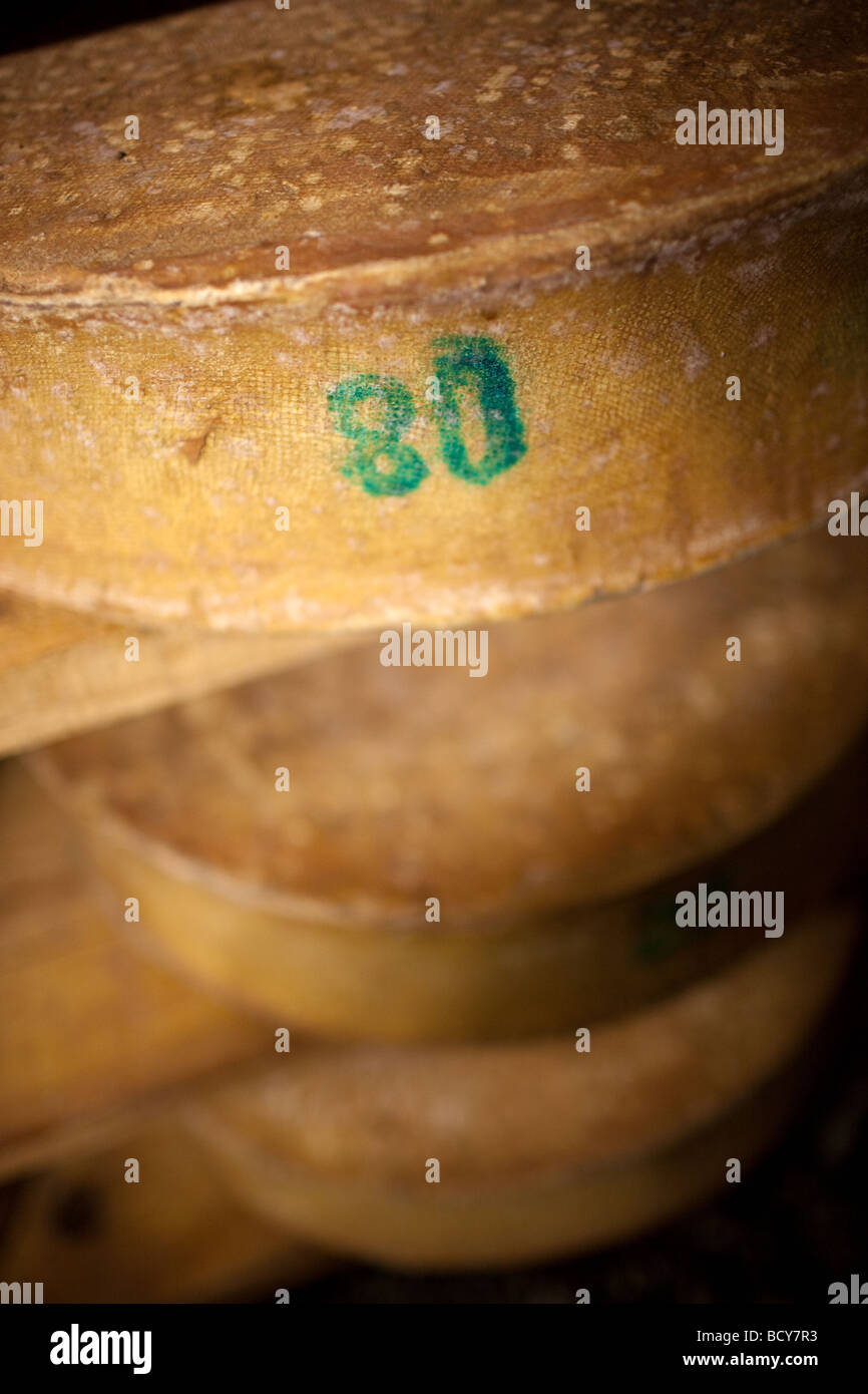 Produktion des französischen Käses "Beaufort", in den französischen Alpen Stockfoto