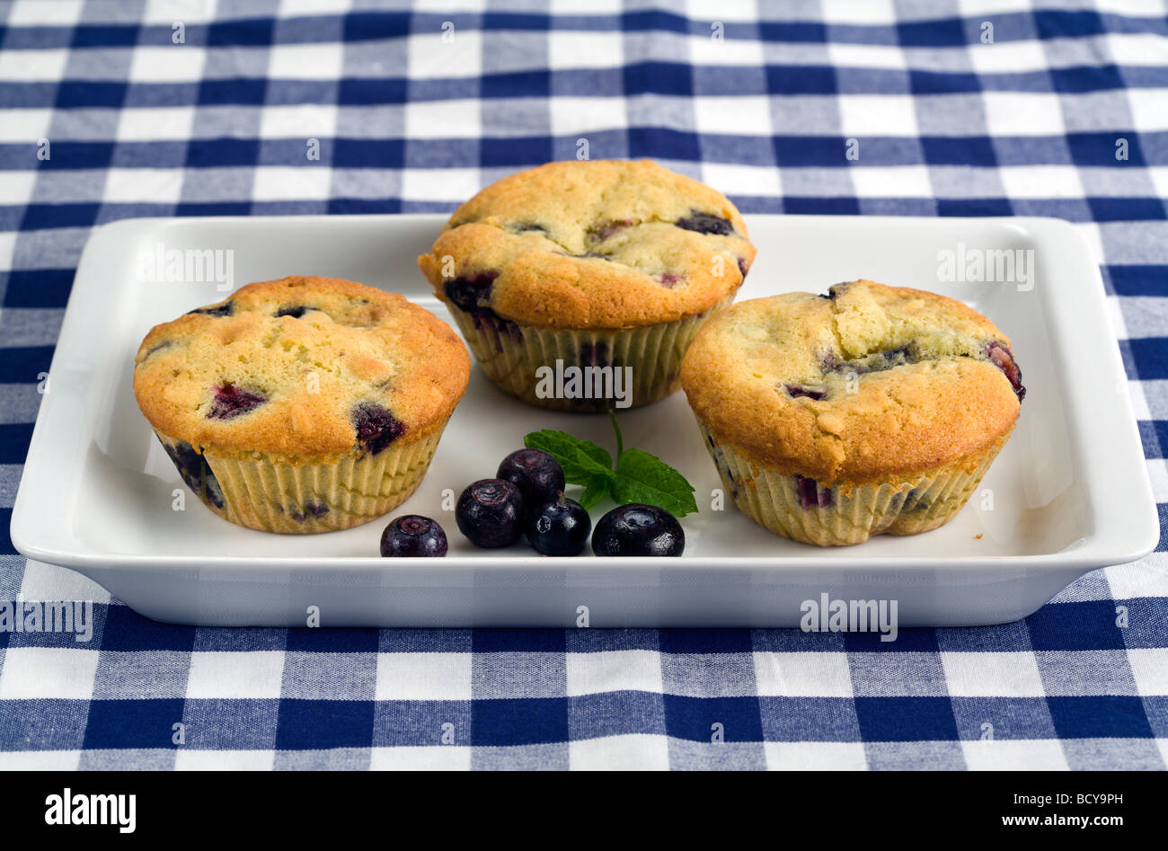 drei Blaubeer-Muffins auf rechteckigen Platte auf blauen und weißen Tischdecke Stockfoto