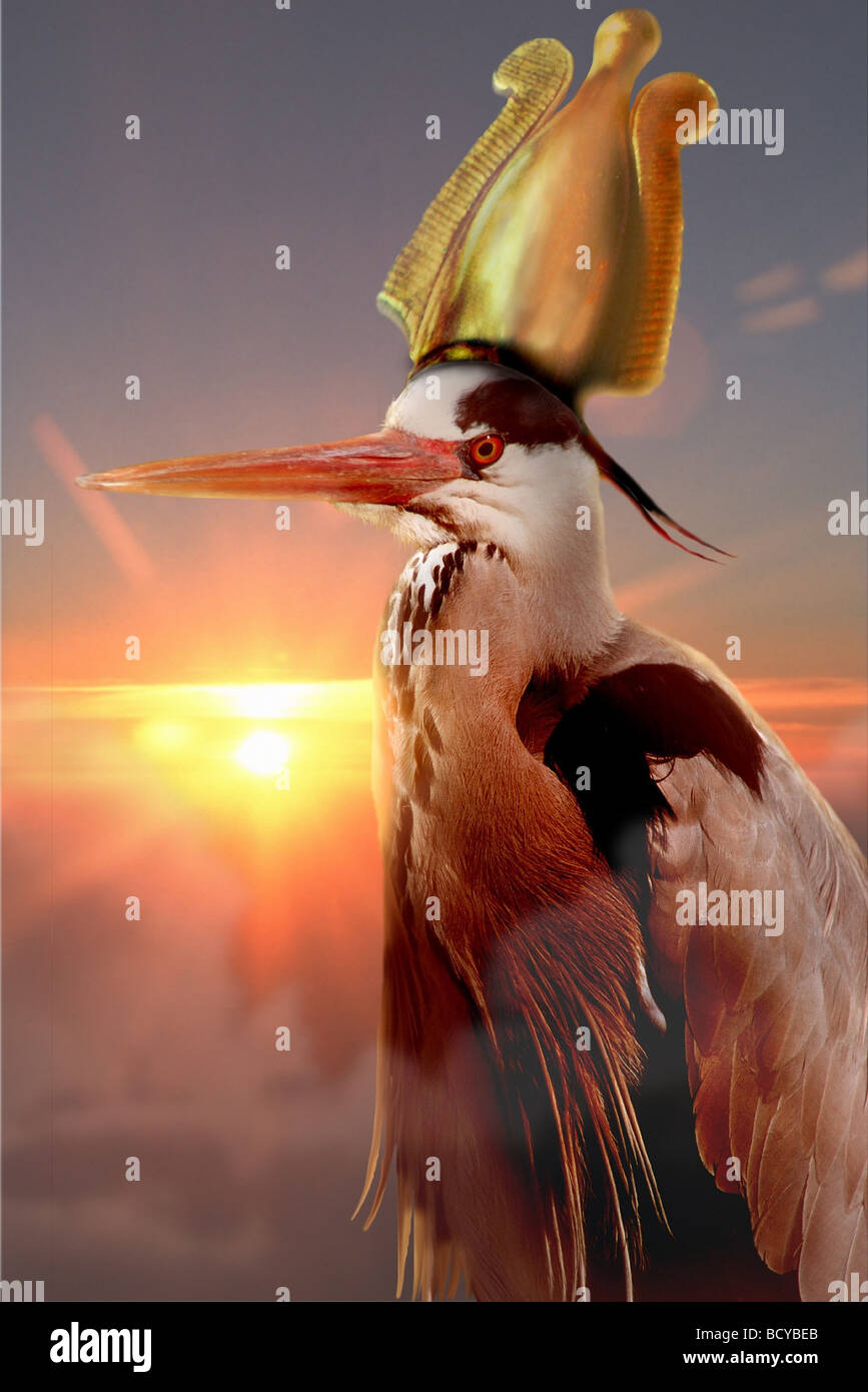 Fabelwesen Phönix Stockfoto