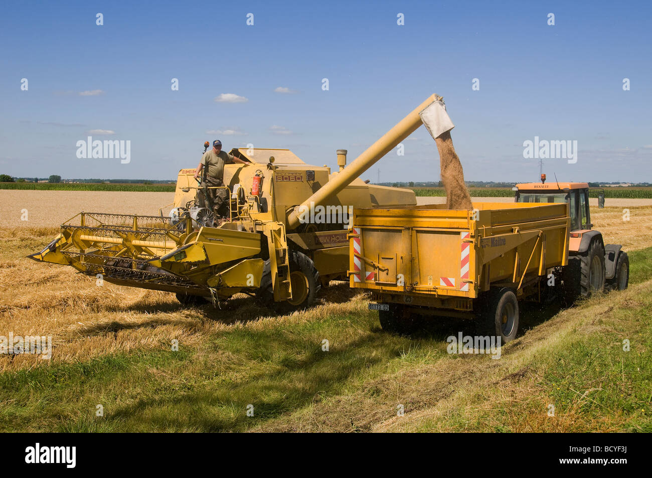 Weizen Ernte, Frankreich Stockfoto