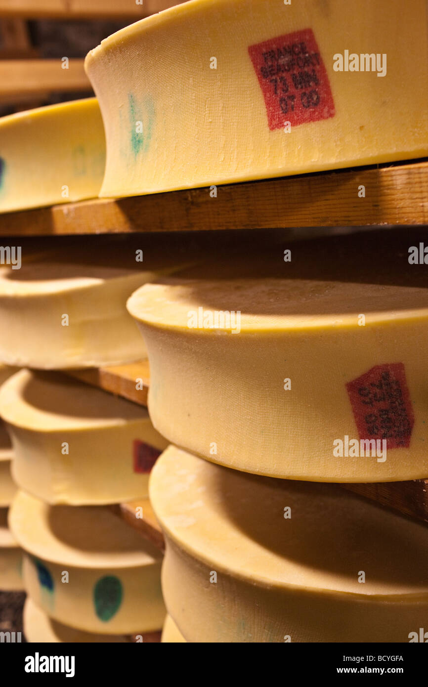 Produktion des französischen Käses "Beaufort", in den französischen Alpen Stockfoto