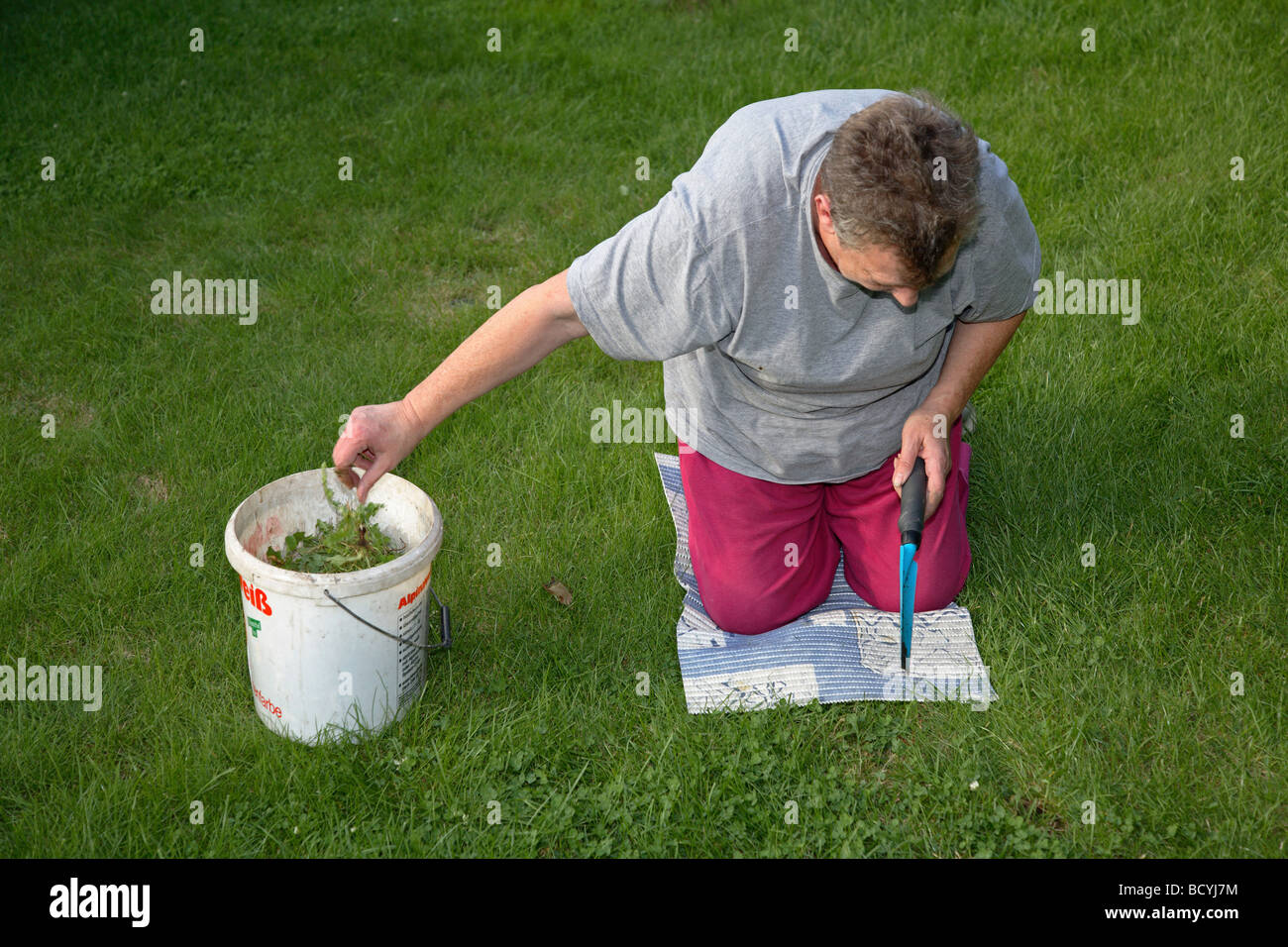 Rasenpflege und Gartenarbeit Stockfoto