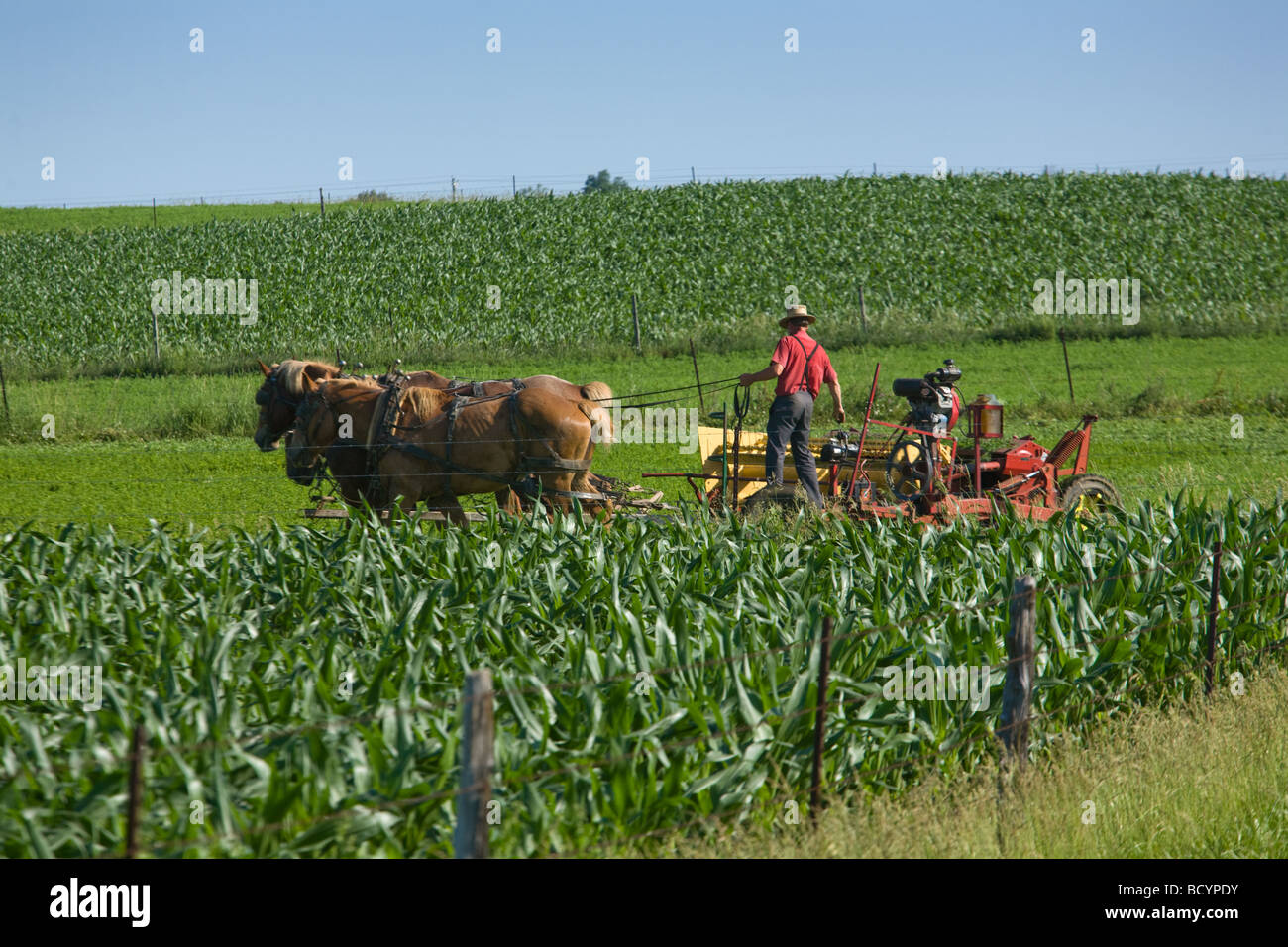 Amish farmer Fotos und Bildmaterial in hoher Auflösung Alamy