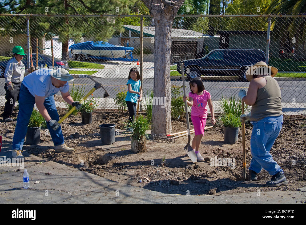 LA Conservation Corps bei Baumpflanzungen in Calvert Elementary School in Woodland Hills. Stockfoto