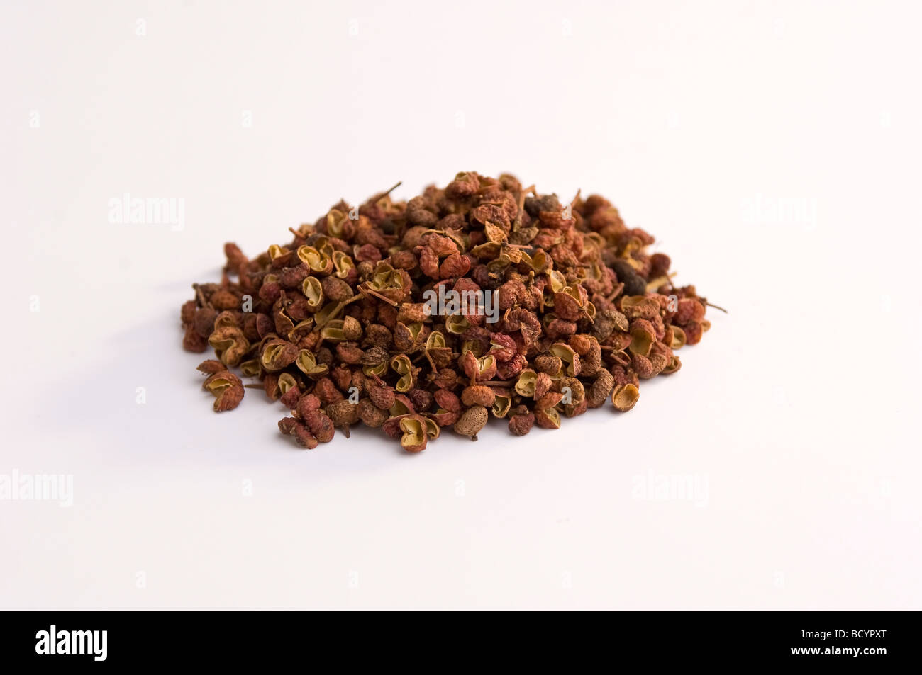 Sichuan-Pfeffer auf weißem Hintergrund Stockfoto