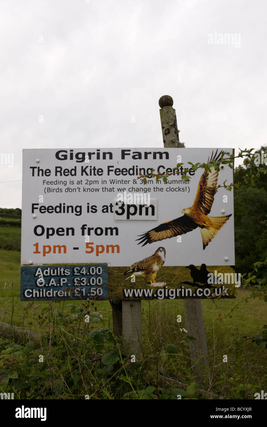 Gigrin Farm Zeichen der Red Kite Feeding Station Powys Wales Stockfoto