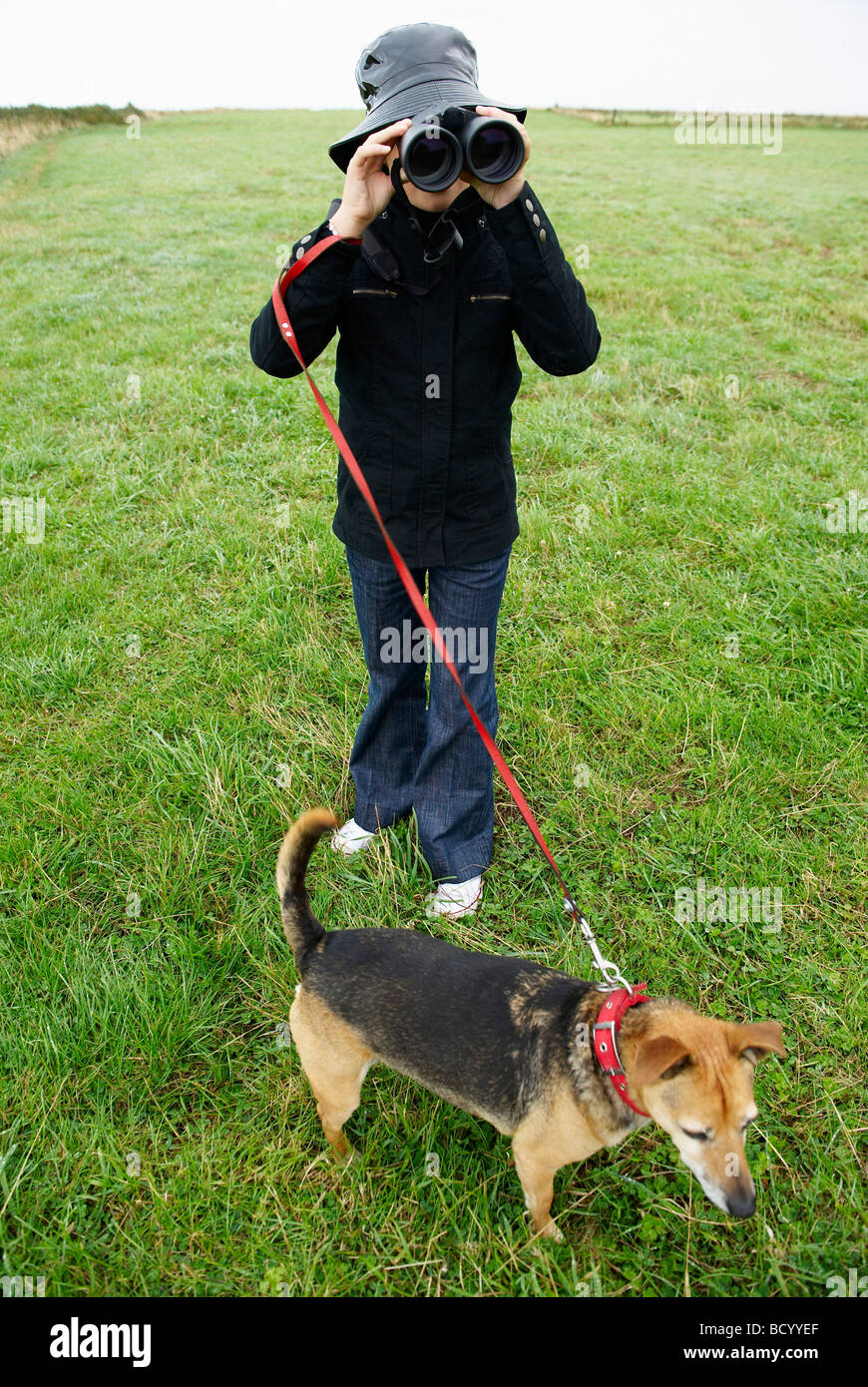 Mädchen mit einem Fernglas, Spaziergang mit dem Hund Stockfoto