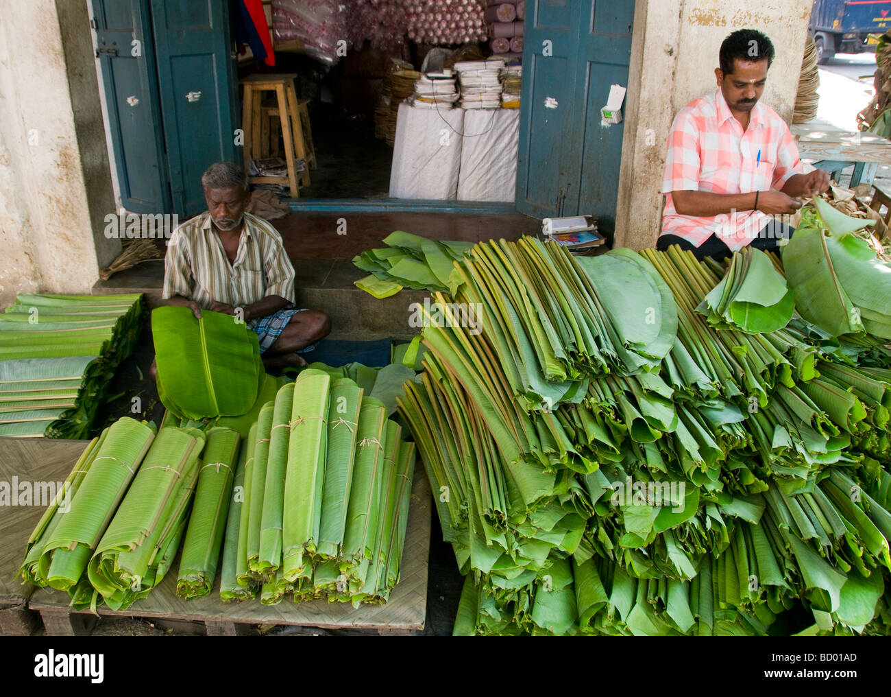 Männer bereiten Banane Blätter für Verkauf in Indien sie als Platten in Restaurants verwendet werden Stockfoto