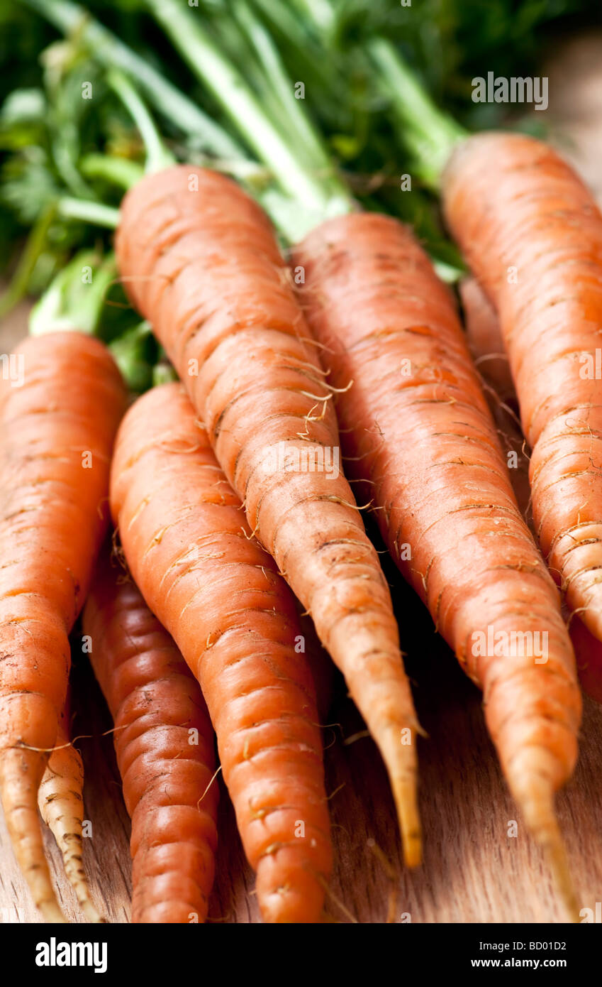 Reihe von ganzen frischen Bio-orange-Karotten Stockfoto