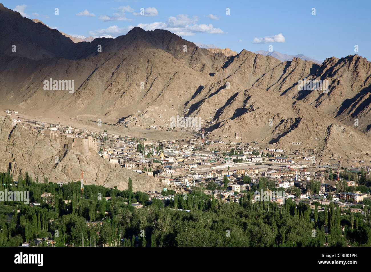 Leh. Blick vom Shanti Stupa. Ladakh. Indien Stockfoto