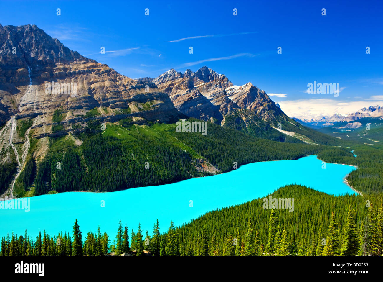 Peyto Lake Stockfoto