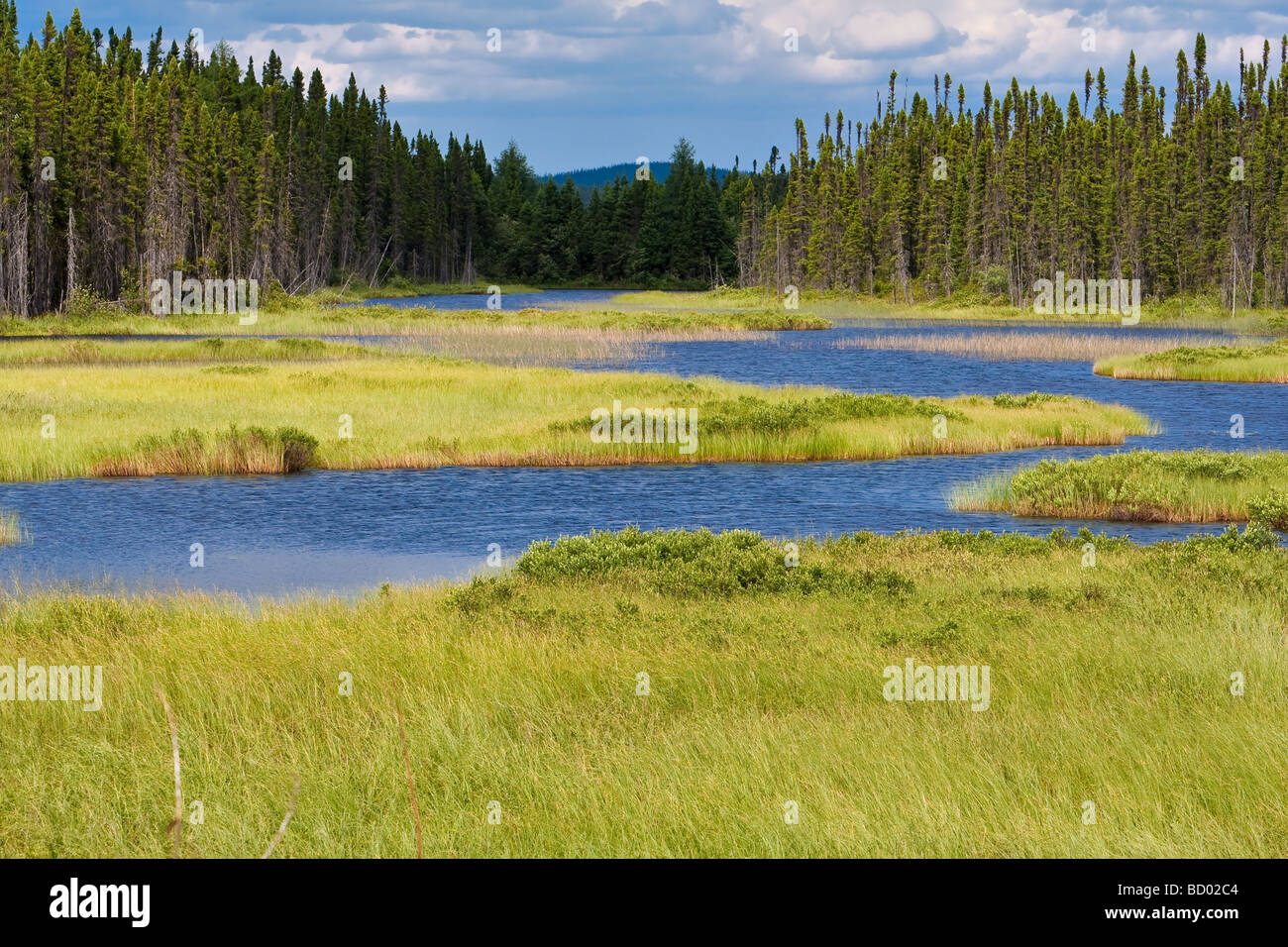 Ein See ist vor einer immergrünen Wald in der Reserve Faunique Ashuapmushuan Wildlife Reserve in Quebec gesehen. Stockfoto