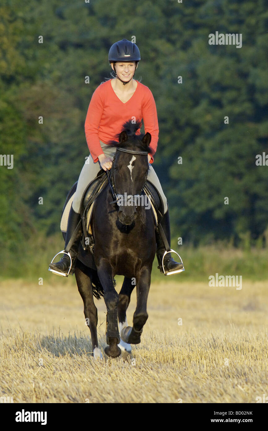 Junge Dame auf deutsche pony Stockfoto
