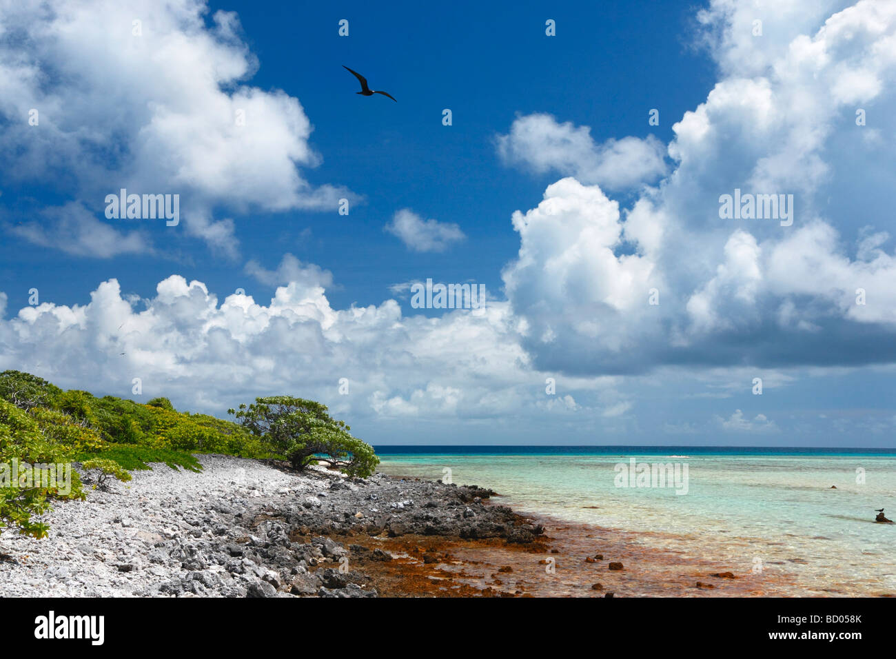 Fakarava, Tuamotu-Archipel, Französisch-Polynesien Stockfoto