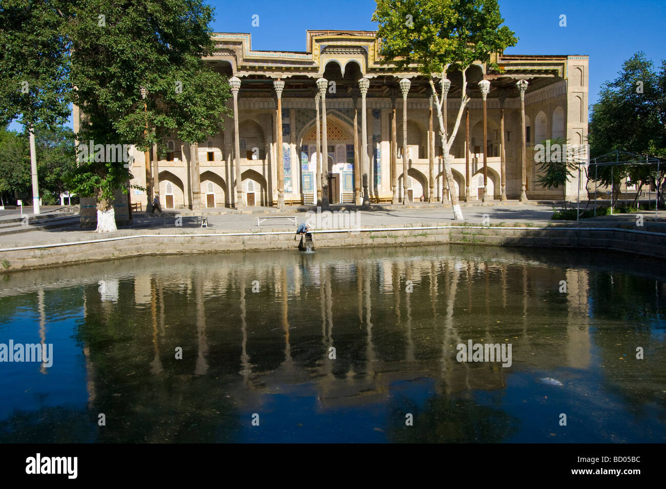 Bolo Khauz Moschee in Buchara Usbekistan Stockfoto