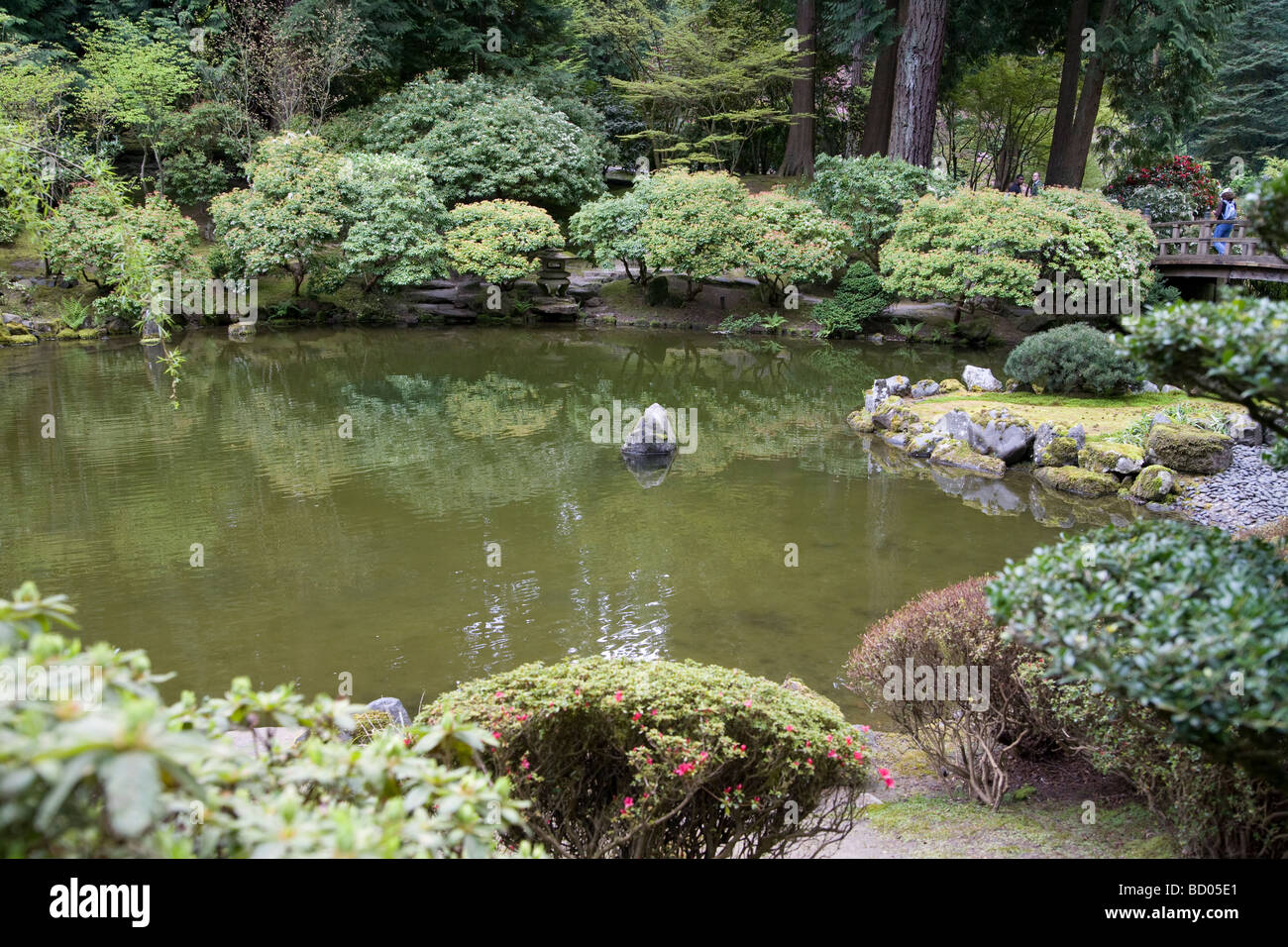 Teich mit Felsen, umgeben von Bäumen und Pflanzen in der japanischen