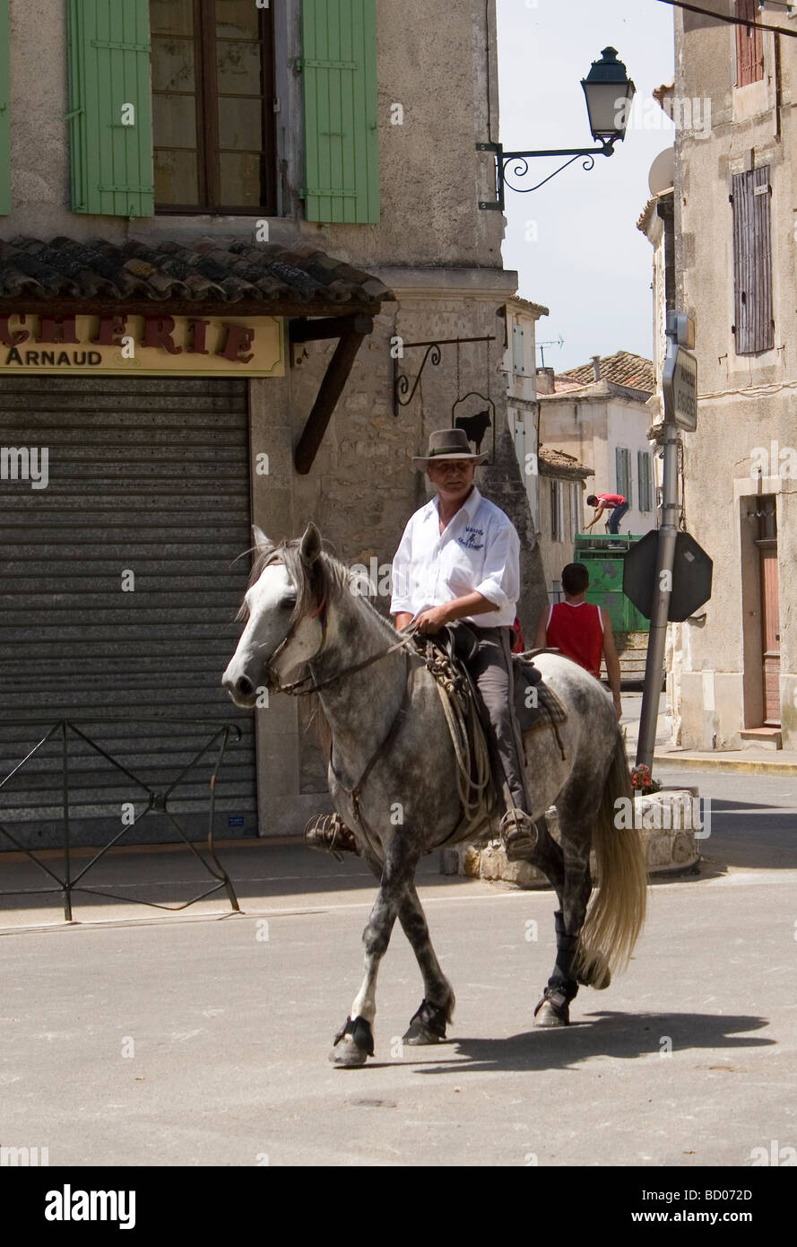 Camargue-Wächter auf ihren weißen Pferden Herde der schwarzen Stiere durch die Straßen auf dem Weg zu der Stierkampfarena Stockfoto