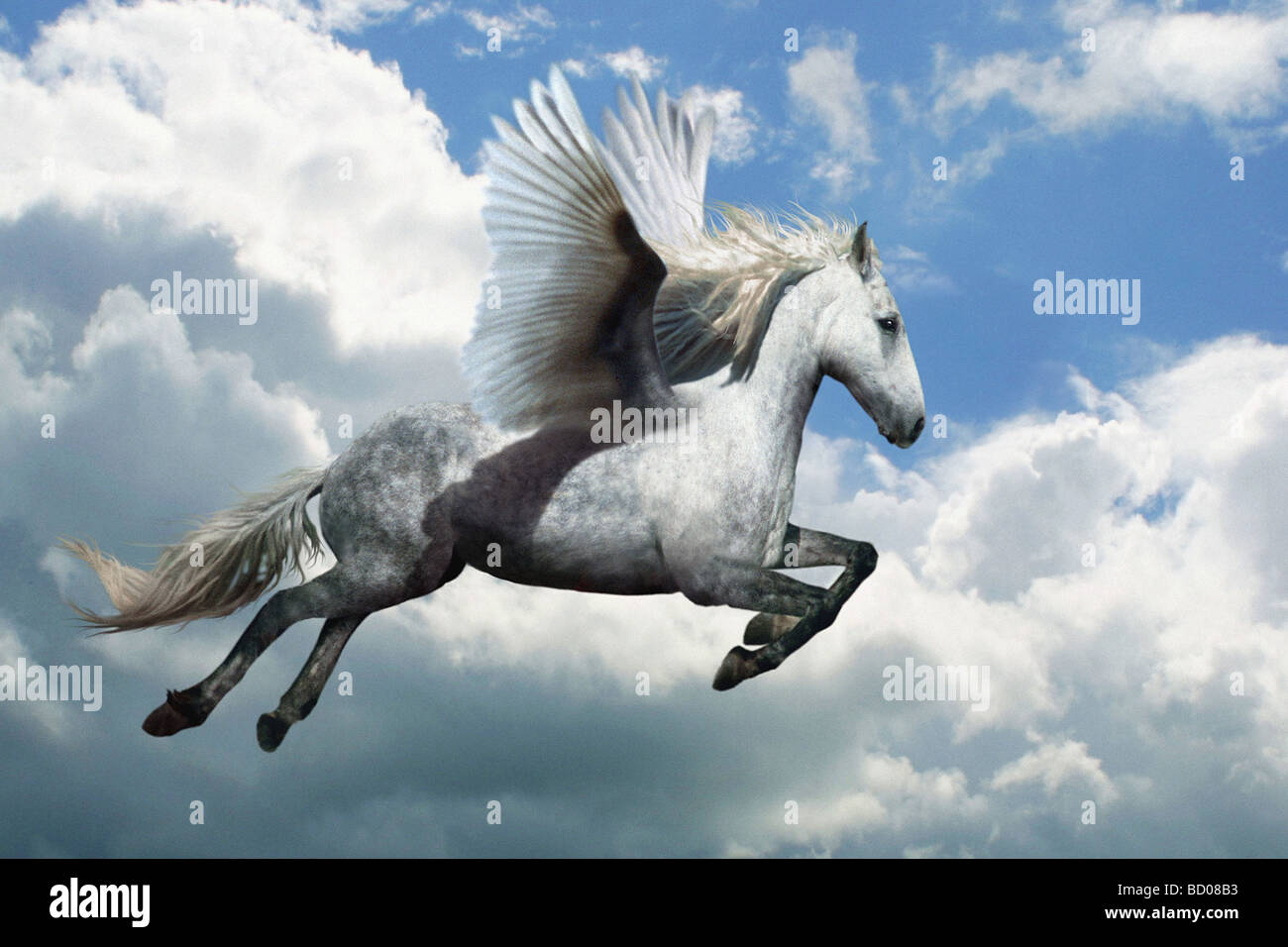 Pegasus, das geflügelte Pferd, eine Kreatur aus der griechischen Mythologie Digital Komponieren Stockfoto