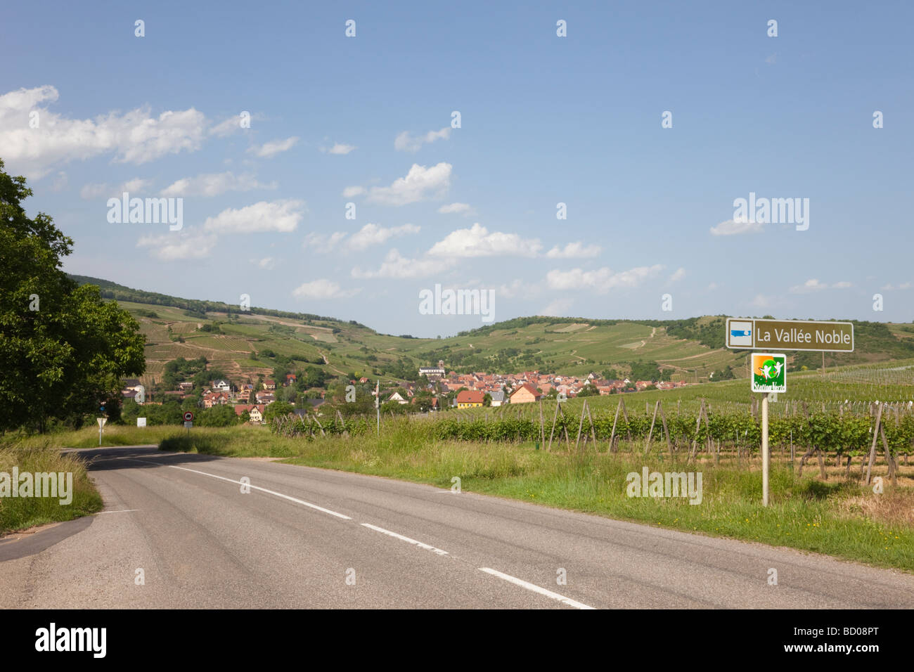 Westhalten-Haut-Rhin-Elsass-Frankreich-elsässischen Weinstraße Straße durch Grand Cru Weinberge in der Weinbauregion Noble Tal Stockfoto