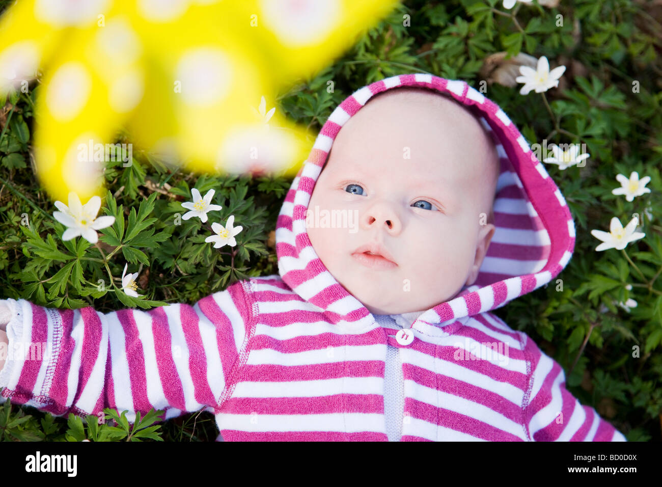 Baby liegend Gras unter Spielzeug Windmühle Stockfoto