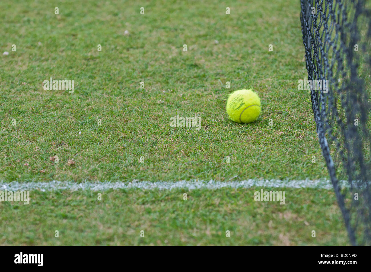 Tennisball auf einem Rasenplatz neben dem Netz Stockfoto