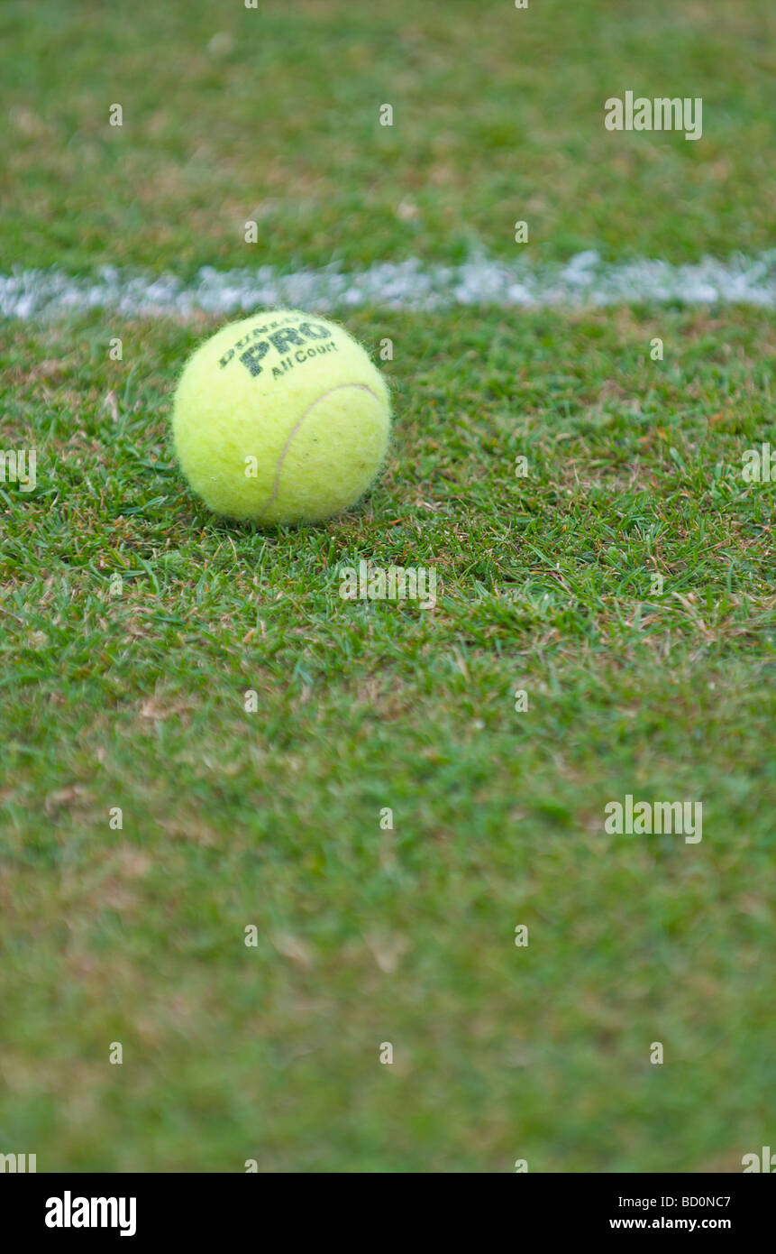 Tennisball auf einem Rasenplatz neben der weißen Linie Stockfoto