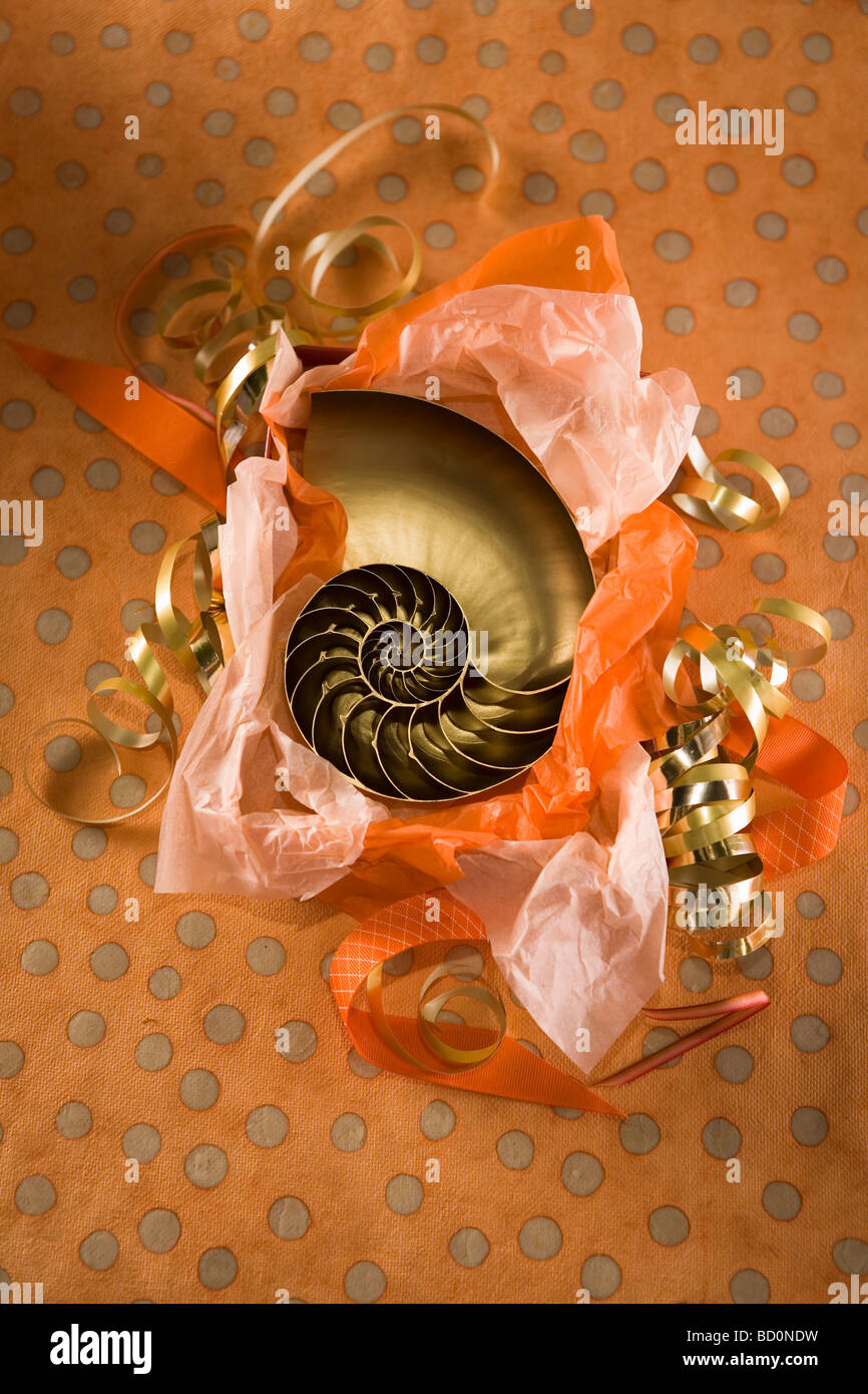 Party Geschenk wird ausgepackt Stockfoto