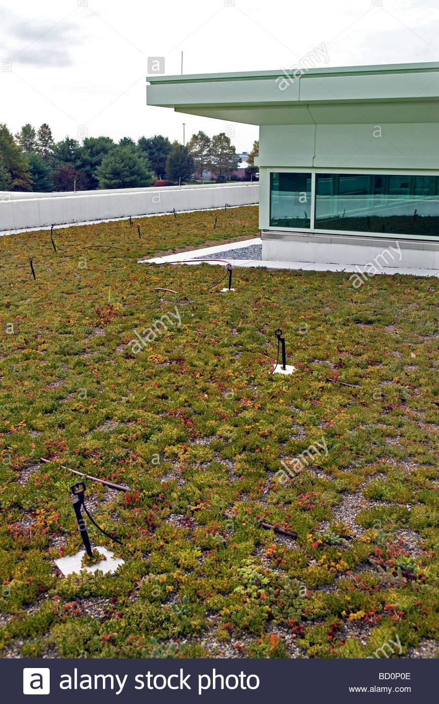 dansko peter kjellerup