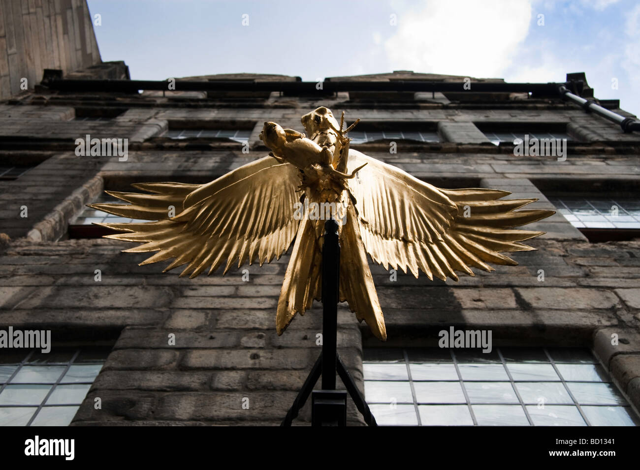 Eine vergoldete Kupfer-Hawk mit ausgebreiteten Flügeln außerhalb Gladstones Land auf Edinburghs Royal Mile Stockfoto