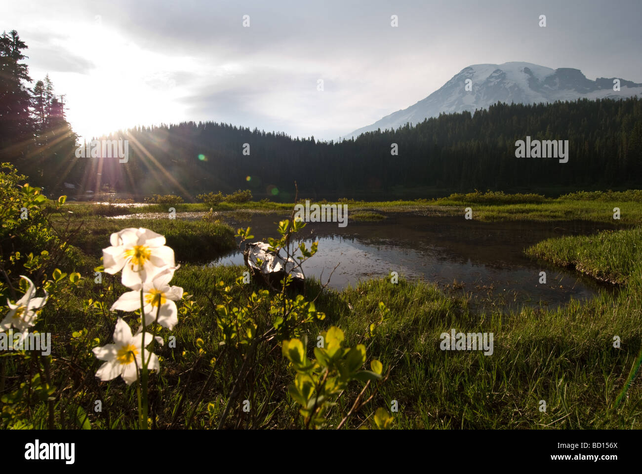 Sonnenuntergang am Mt. Rainier ist Spiegelung See. Stockfoto