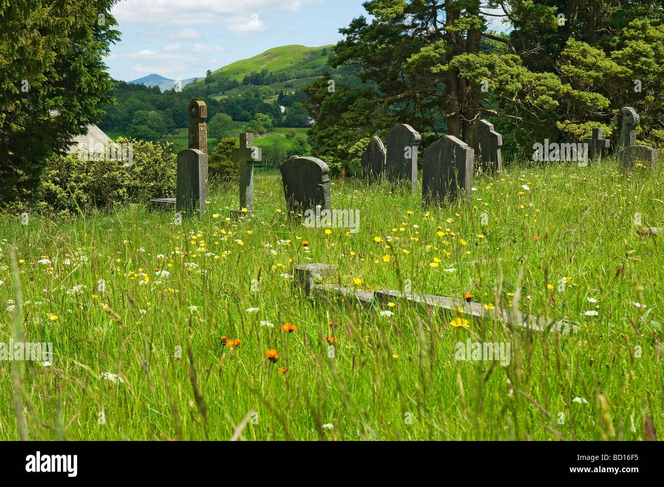 Friedhof von St. Michael und alle Engel Kirche im Sommer Ambleside Cumbria England UK Vereinigtes Königreich GB Grossbritannien Stockfoto